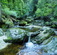 Tarkine Wilderness Experience at Corinna - Accommodation NT