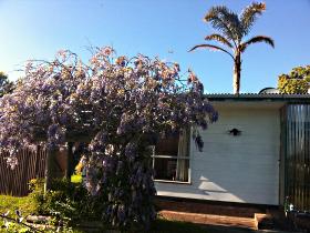 North East Apartments - Accommodation NT 1