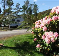 Zeehan Bush Camp  and Caravan Park - Accommodation NT