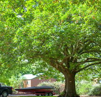 Lakes and Craters Holiday Park - Accommodation NT