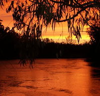 Cadell on the Murray Motel - Accommodation NT
