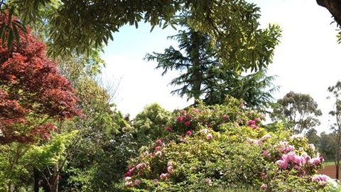 Chestnut Springs - Accommodation NT 2