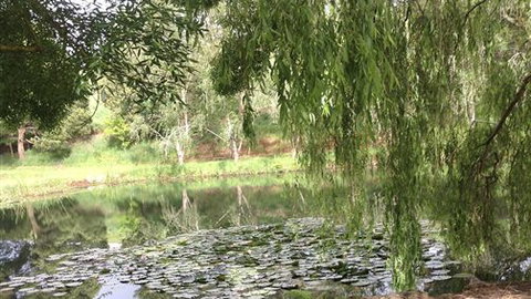 Chestnut Springs - Accommodation NT 7