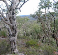 The Glen - Accommodation NT