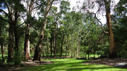 Wildwood Retreat - Accommodation NT 0