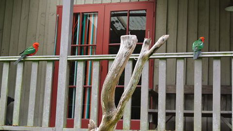 Wildwood Retreat - Accommodation NT 4