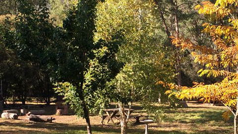 Schusters Lodge - Accommodation NT 6