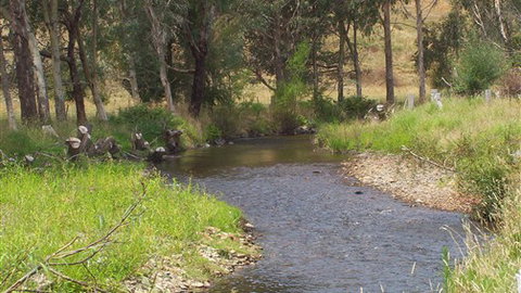 Murphy's Cabin - Accommodation NT 0