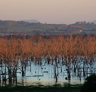 Salisbury - Accommodation NT
