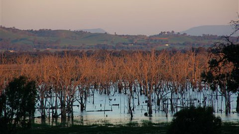 Salisbury - Accommodation NT 0