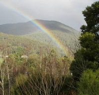 Wattletree Cottage - Accommodation NT