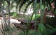 Burwood Bed & Breakfast - thumb 1