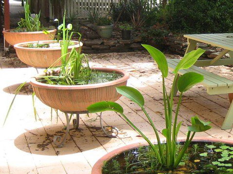 Burwood Bed & Breakfast - Accommodation NT 3