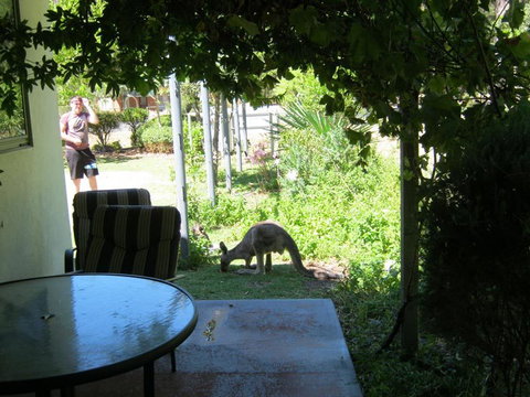 Tim's Place - Accommodation NT 2