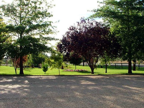 Horseshoe Motor Village Caravan Park - Accommodation NT 4