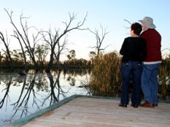 Kingston-On-Murray Caravan Park - Accommodation NT 2