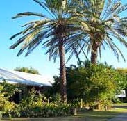Merino Motor Inn - Accommodation NT