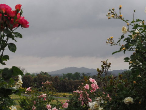 Myamba House Kyneton - NT Tourism 4