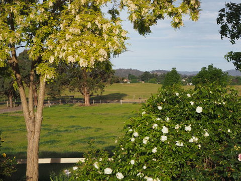 Myamba House Kyneton - NT Tourism 5