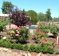 Newell Motor Inn - Accommodation NT