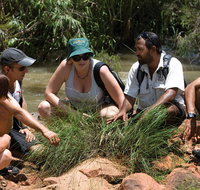 Nitmiluk Tours  Accommodation - Accommodation NT