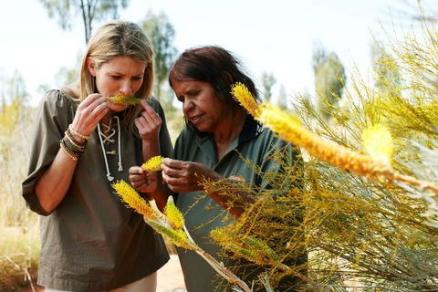 Outback Pioneer Hotel - Accommodation NT 6