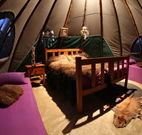 Aranyani Bison Adventure Tourist Park - Accommodation NT