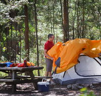 Bald Rock campground and picnic area - Accommodation NT