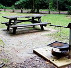 Bellbird campground - Accommodation NT