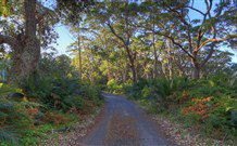 BIG4 South Durras Holiday Park - Accommodation NT 4