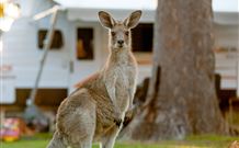BIG4 Sunshine South West Rocks Holiday Park - South - NT Tourism 3