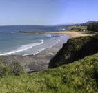 Coledale Beach Camping Reserve - Accommodation NT