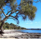 Currarong Beachside Holiday Park - NT Tourism
