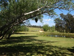 The Knoll Moruya - Accommodation NT 4