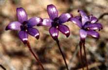 Wave Rock Hotel Motel - Accommodation NT 7