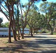 Wycheproof Caravan Park - Accommodation NT