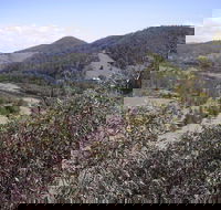 Blackbird Flat Camping Ground - Accommodation NT