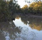 Four Mile Camping Reserve - Accommodation NT
