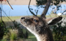 Joalah Holiday Park - Accommodation NT 1