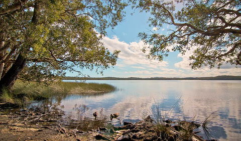 Johnsons Beach Campground - Accommodation NT 1