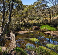 Junction Pools campground - Accommodation NT