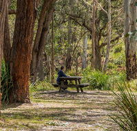 Koreelah Creek campground - Accommodation NT