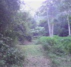 Macas Camping Ground - Accommodation NT