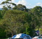 Milton Valley Holiday Park