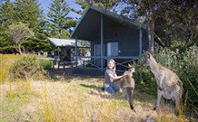 Murramarang Beachfront Nature Resort - Accommodation NT 10