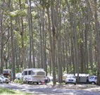 Mystery Bay Camping Area - Accommodation NT