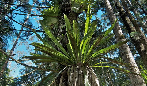 Rummery Park Campground - Accommodation NT 0