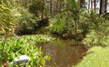 Tallowood Ridge B And B - Accommodation NT 0