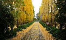 Melview Greens Apartments - Orange - Accommodation NT 5