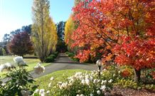 Melview Greens Apartments - Orange - Accommodation NT 7